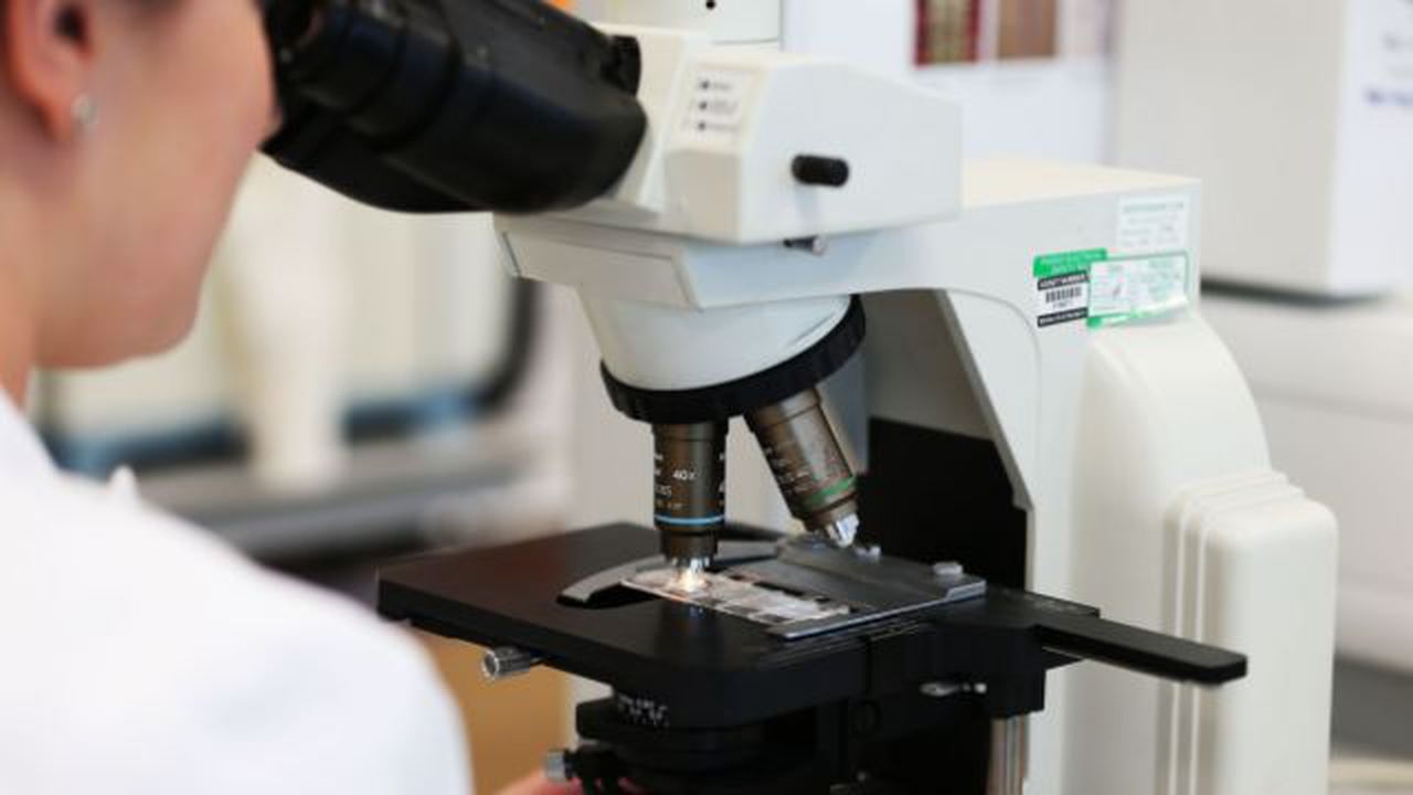 This could help fight the coronavirus, image via Yahoo