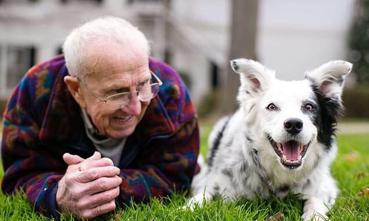 Study finds dogs possess higher than expected ability for learning language. Image via Global News.
