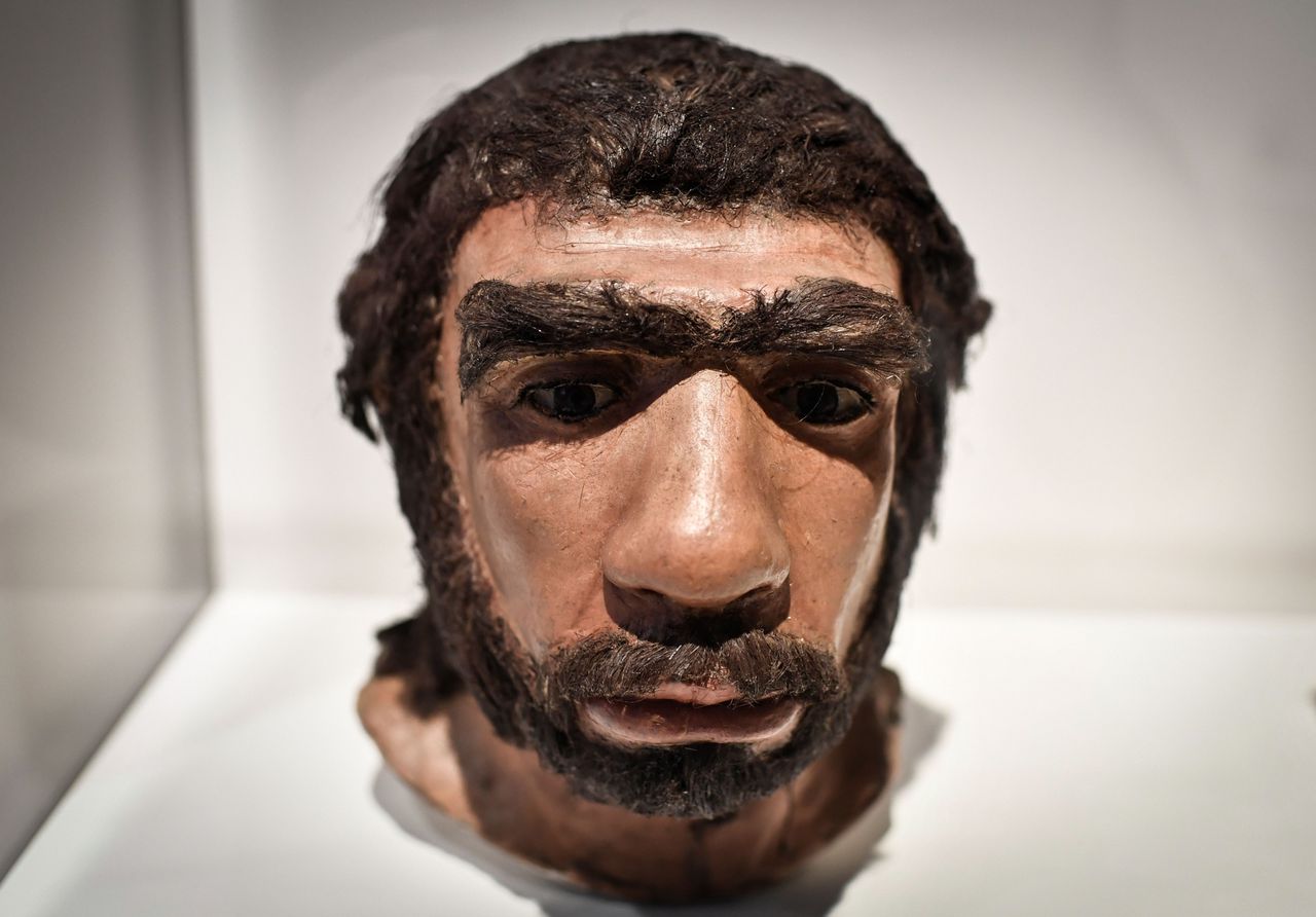 Neanderthals may have been on the verge of extinction long before their encounter with homo sapiens. Image via AFP.