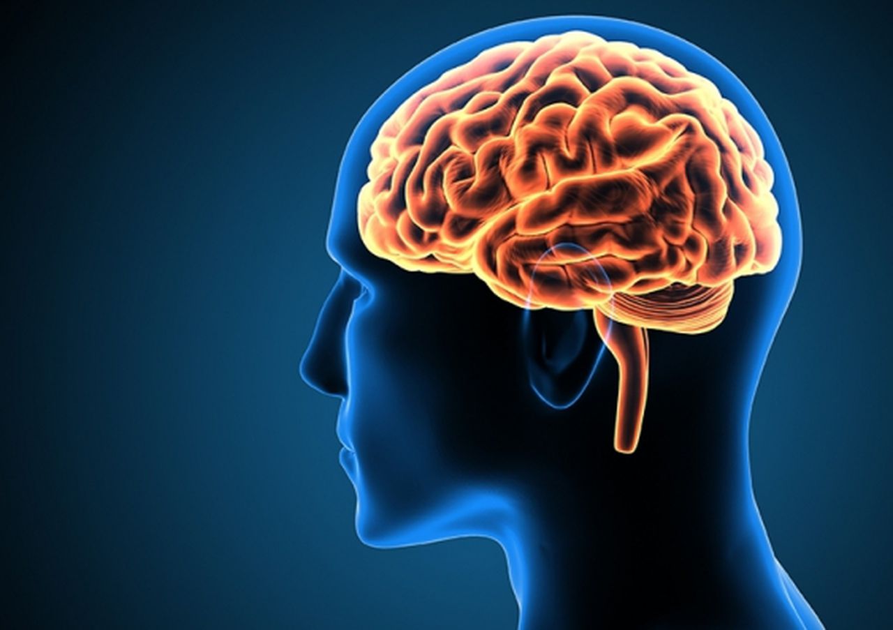 Now you can burn 6000 calories a day without even moving, Image via shutterstock
