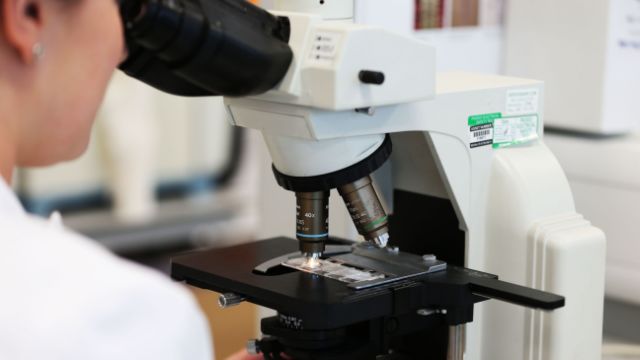 This could help fight the coronavirus, image via Yahoo