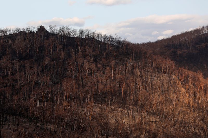 Many attribute the crisis to climate change, image via Yahoo