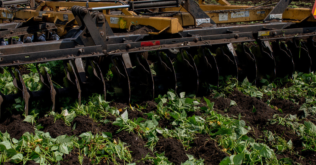Dumped Milk, Smashed Eggs, Plowed Vegetables: Food Waste of the Pandemic