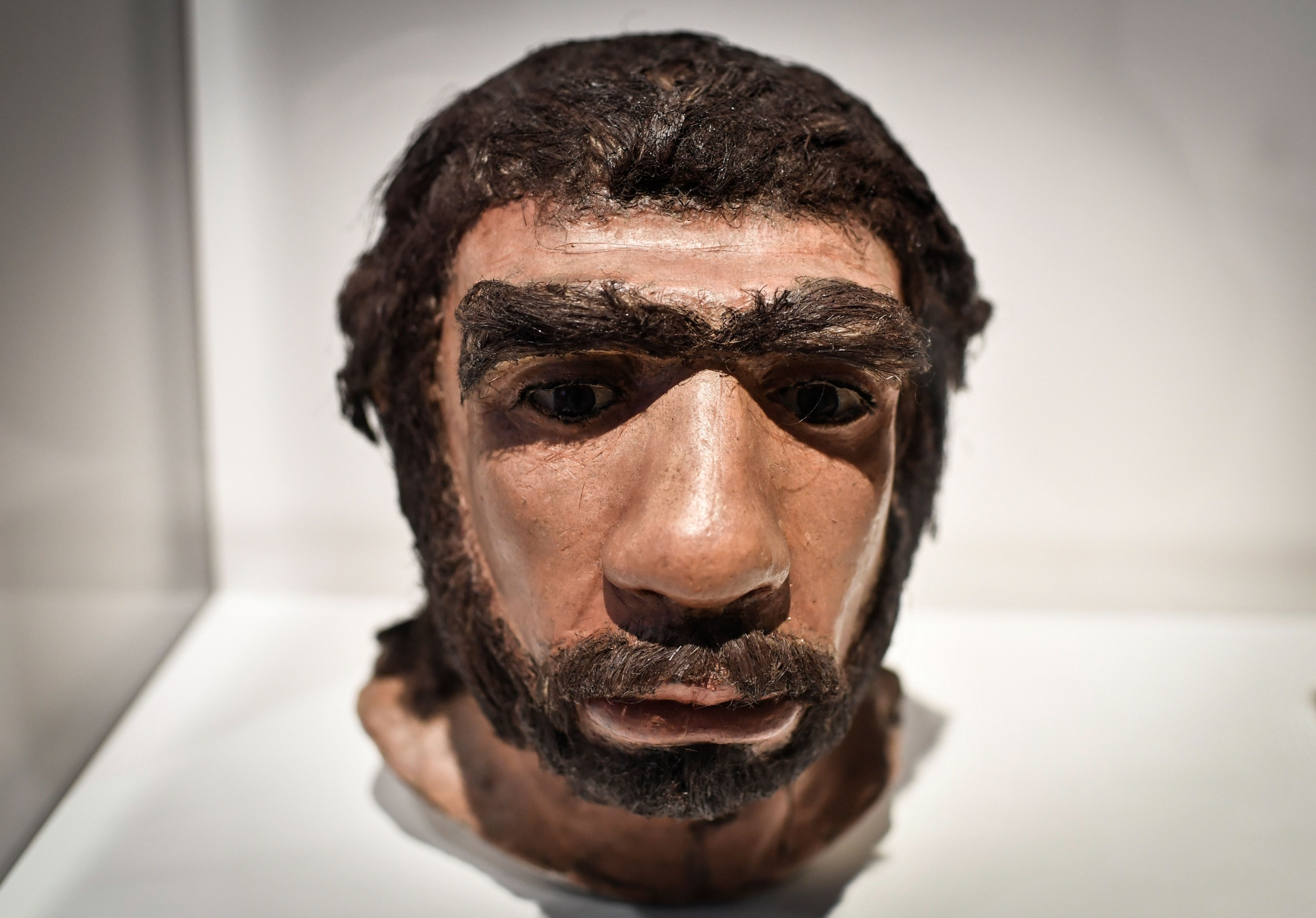 Neanderthals may have been on the verge of extinction long before their encounter with homo sapiens. Image via AFP.