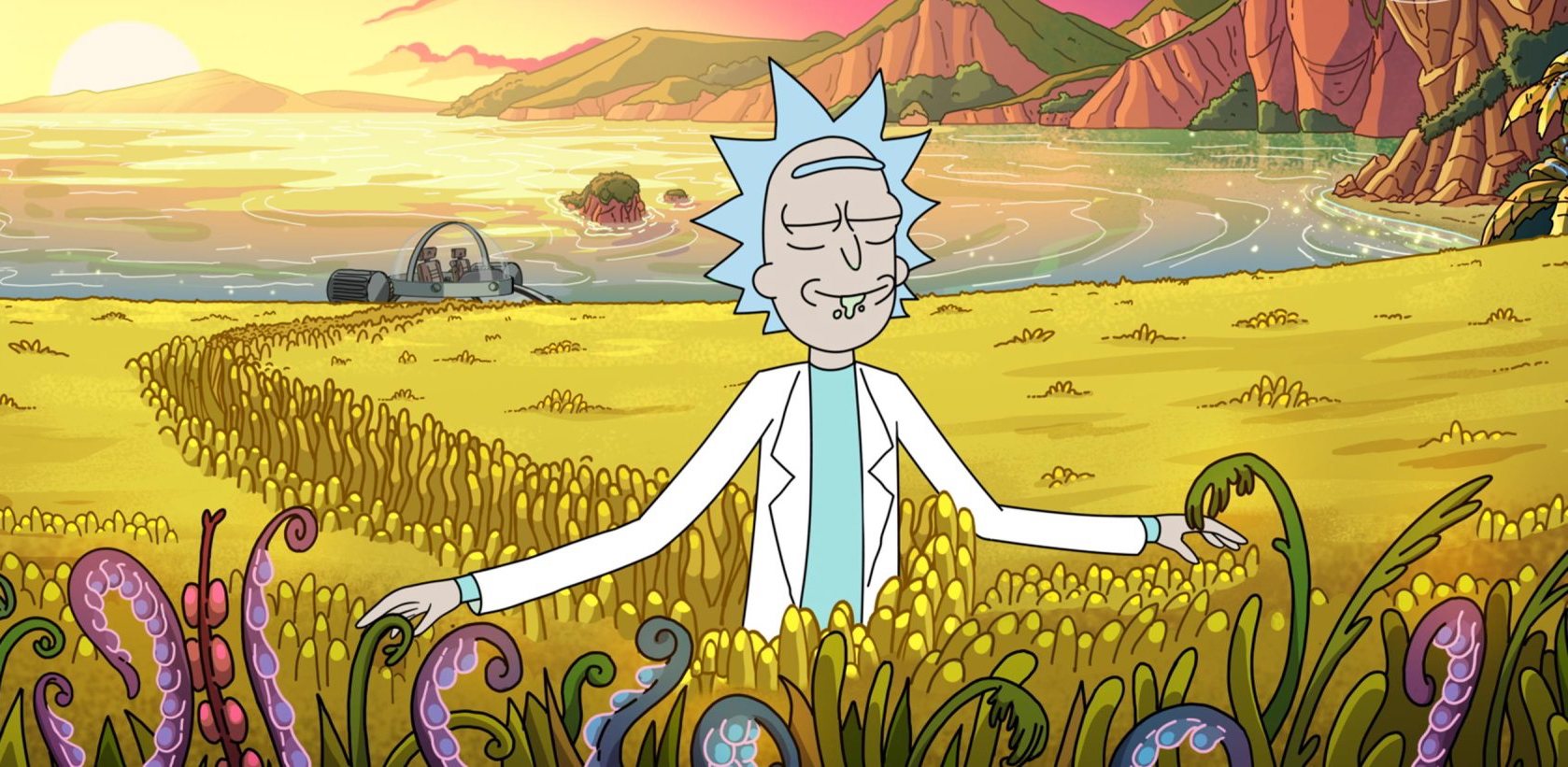 The show has been renewed for 70 more episodes, image via Adult Swim