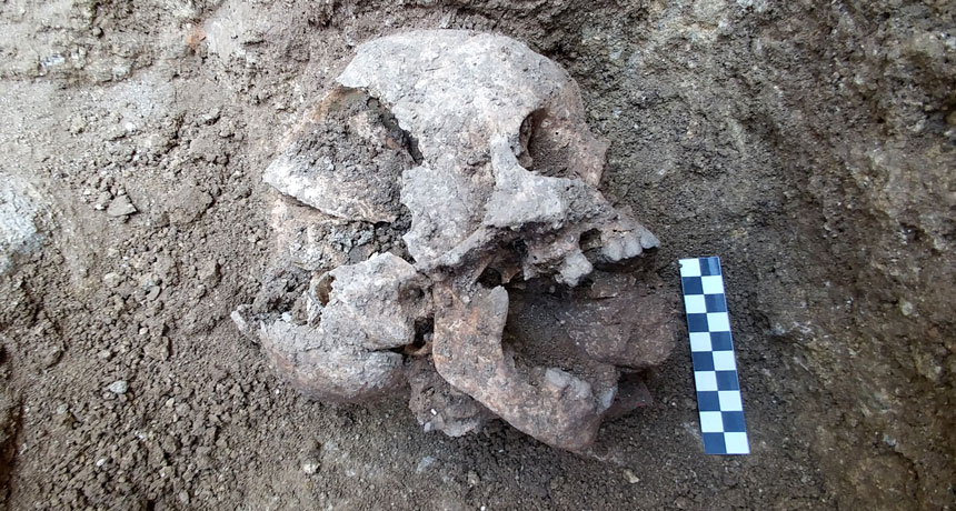 Research finds ancient warrior's remnants are connected to the Rosetta Stone. Image via Science News