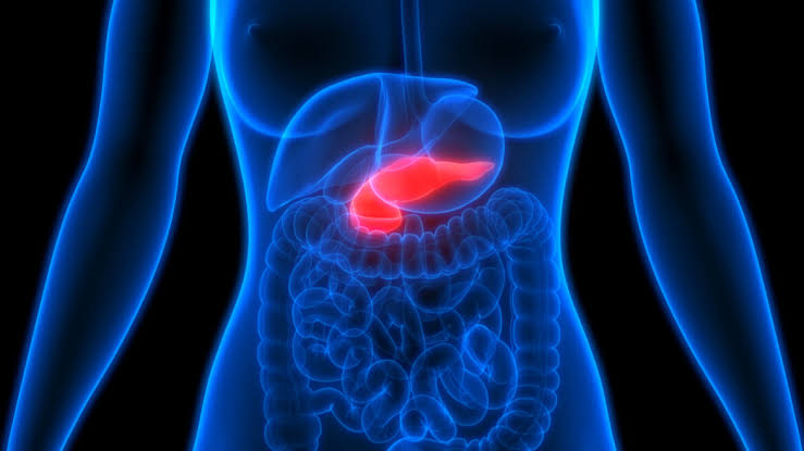 The treatment has so far been very successful on mice, image via Shutterstock